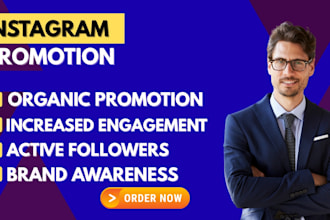 provide safe and effective instagram organic promotion