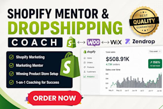 be your shopify mentor and dropshipping coach, 1 on 1 coaching for beginners