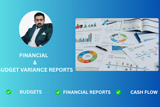 prepare cashflow statements, financial reports, budgets and variance analysis