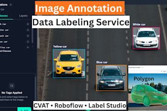do image annotation, bounding box, polygon, and data labeling for ai, ml