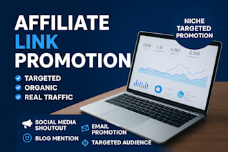 promote your affiliate link to a highly targeted niche audience
