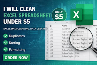 clean excel spreadsheet, excel data cleaning, data cleanup