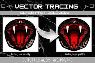 do professional vector tracing