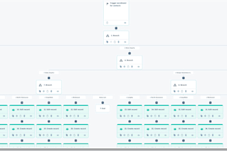 manage your hubspot and CRM projects as a bilingual consultant project manager