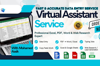 data entry, excel data cleaning, copy paste and web research