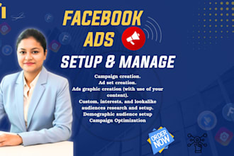 manage facebook ads with advanced targeting and strategy