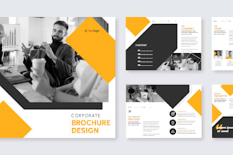 design a premium company profile or brochure