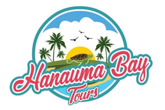 design professional modern custom travel and hotel logo