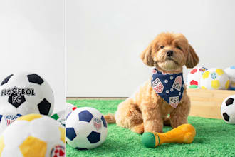 shoot pet product photography for your website and social