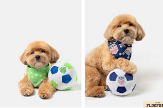 shoot pet product photography for your website and social