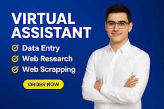 be your virtual assistant for data entry, web research, CRM and b2b leads