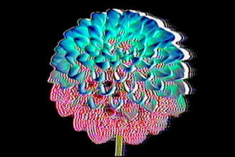 glitch your videos, photos, or create unique animations