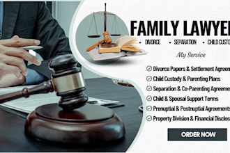 draft divorce, separation, and child custody documents professionally