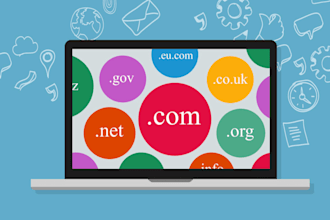 help you choose the best domain name