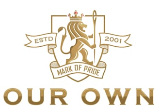design awesome lion logo