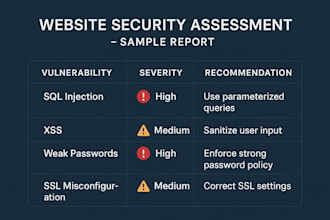 perform web and API security testing with a full vulnerability assessment