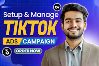 run tiktok ads campaign as your tiktok ads manager