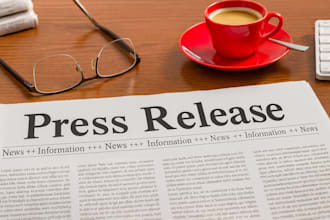 do professional SEO press release for pr distribution and publishing