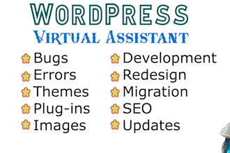 be your wordpress virtual assistant