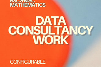 perform consultancy excel work