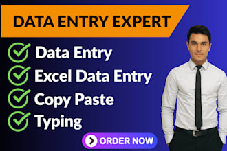do fastest data entry in one day, excel data entry , typing,