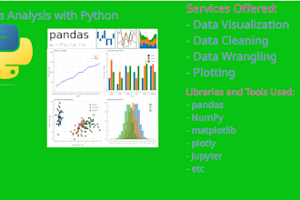 do a python data science project for you