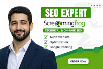 do technical SEO, on page optimization, website audit report with action plan