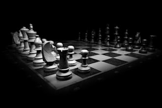 teach you how to play chess