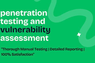 perform professional penetration testing
