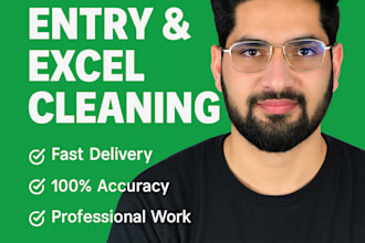 do data entry, excel work, and clean your data professionally