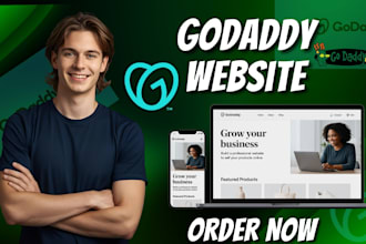 design or redesign a professional godaddy website or ecommerce store