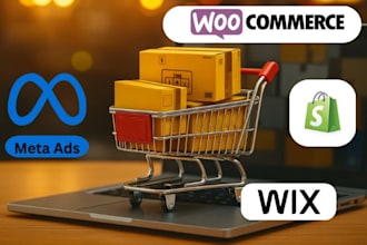 run high converting ecommerce meta ads campaigns for online stores