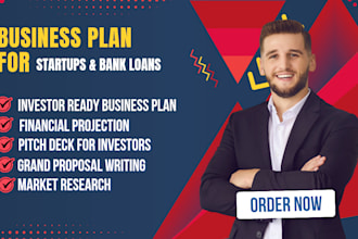 write customized business plan for investors, fundraisers, grants, startups