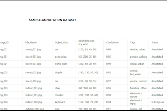 do your data annotation and data entry