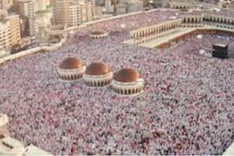 provide professional fatwa and islamic consultation