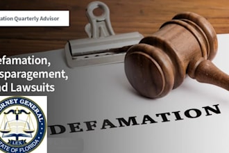 be florida fl civil litigation attorney, legal consultant for pro se cases