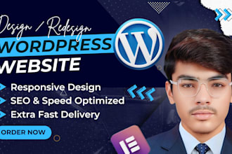 create a premium wordpress website with pro design