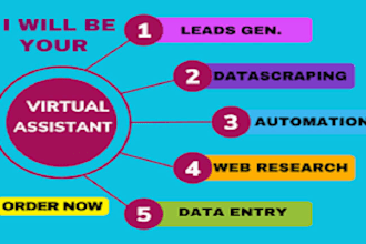 be your executive administrative virtual assistant for management admin duties