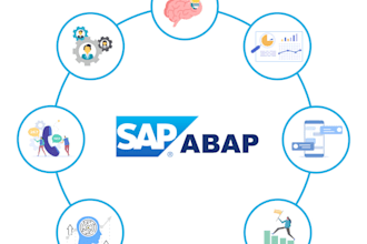 provide sap abap consultation with technical support