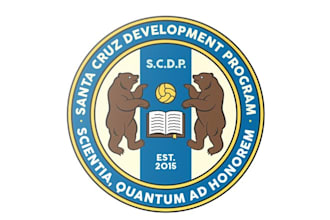 design crests vibrant logo for a soccer development academy