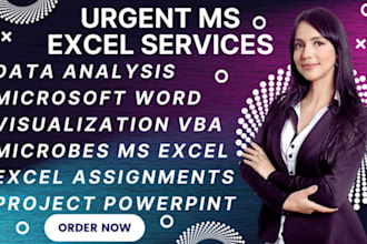 solve microsoft excel assignments and projects