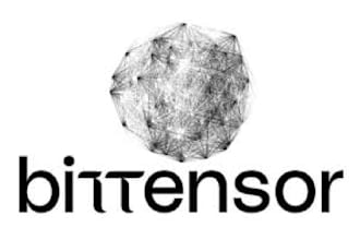 be developer for bittensor