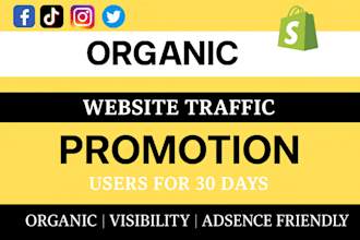 esty ecommerce marketing, shopify website organic traffic, website promotion
