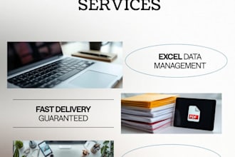 do excel data entry,data cleaning and basic data analysis