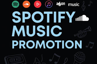 usa spotify music promotion, music promotion
