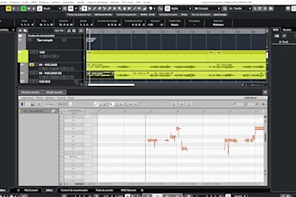 professionally tune your voices
