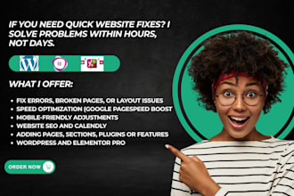 fix wordpess issues, make edits, improve design and speed up your website