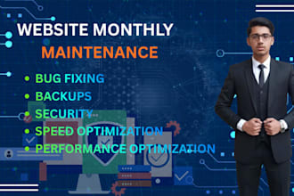 do website monthly maintenance, bug fix, speed, and security
