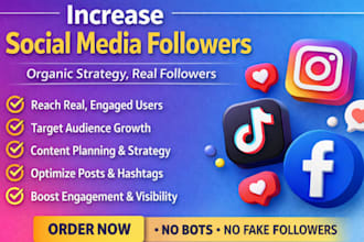 grow your instagram followers with fast organic growth and promotion