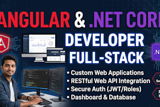 develop angular web app with dotnet core api